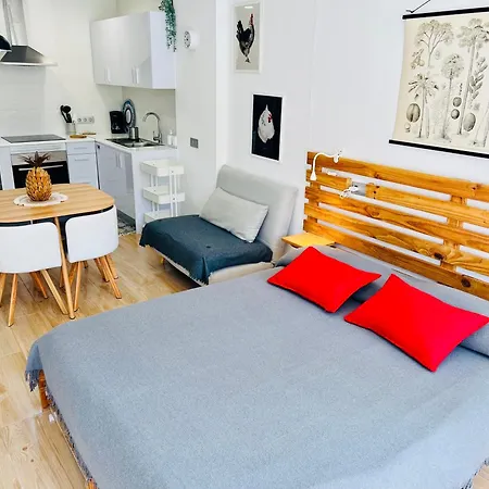 Estudio Tinerfe Apartment *