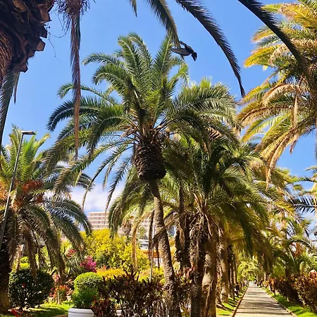 Apartment Estudio Tinerfe Puerto de la Cruz (Tenerife)