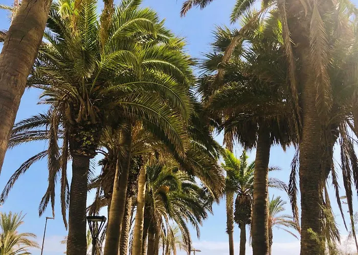 Estudio Tinerfe Пуэрто-де-ла-Крус