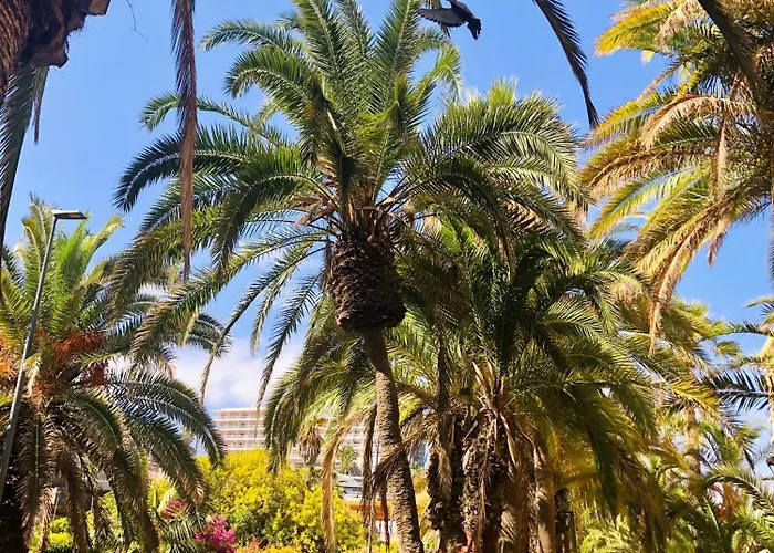 Apartmán Estudio Tinerfe Puerto de la Cruz (Tenerife)