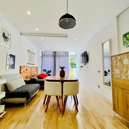 Apartament Estudio Tinerfe Puerto de la Cruz (Tenerife)