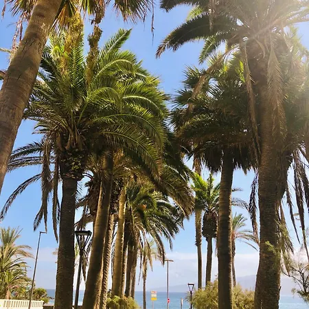 Estudio Tinerfe Puerto de la Cruz (Tenerife)